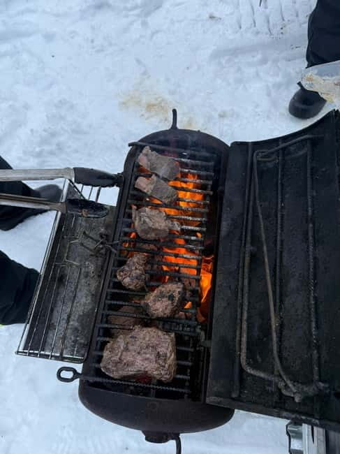 Rovaniemi: Private Snowmobile Trip in Lapland - Practical Details and Considerations