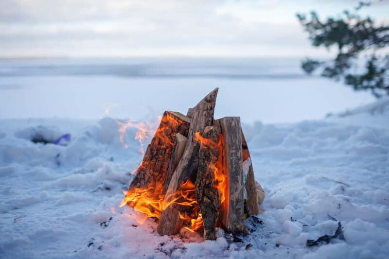 Rovaniemi: Private Snowmobile Trip in Lapland - Who Will Love This Experience?