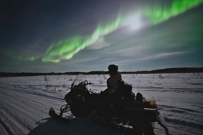 Rovaniemi: Private Snowmobile Trip With Local Guide - Practical Details of the Tour  
