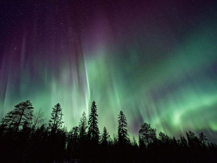 rovaniemi-private-tour-with-guaranteed-northern-lights