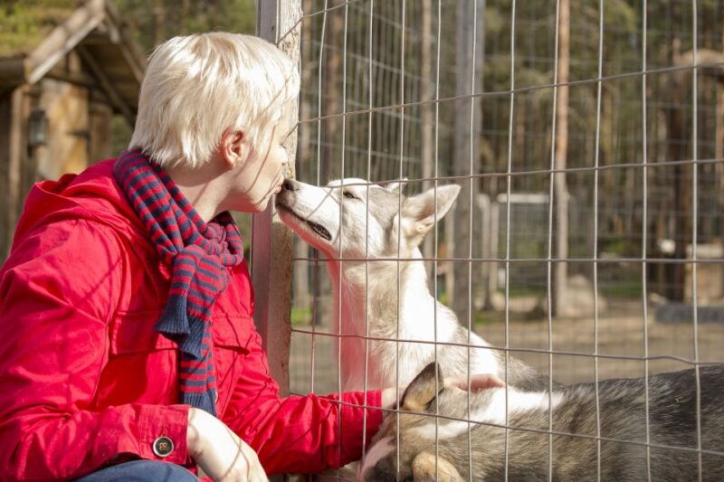rovaniemi-quad-bike-safari-reindeer-husky-farm-visit