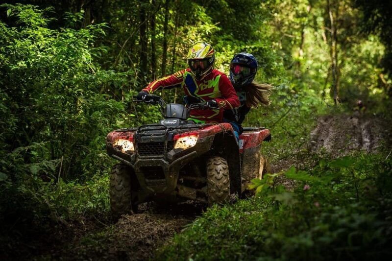 rovaniemi-quad-bike-wilderness-safari