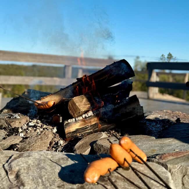 Rovaniemi: Reindeer Farm, Berry Picking, and Fire-Making - Key Points