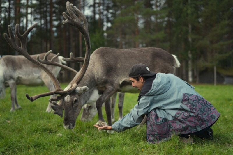 rovaniemi-reindeer-farm-visit-with-photographer