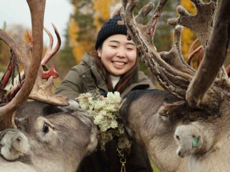 rovaniemi-reindeer-farm-visit-with-photographer