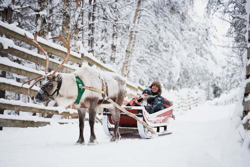 Rovaniemi: Reindeer, Huskies & Santa Claus Village - A Closer Look at the Arctic Adventure