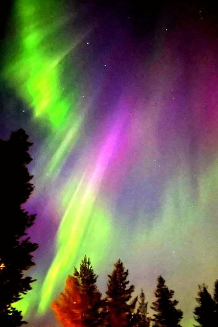rovaniemi-reindeer-huskies-santas-pets-aurora-hunt