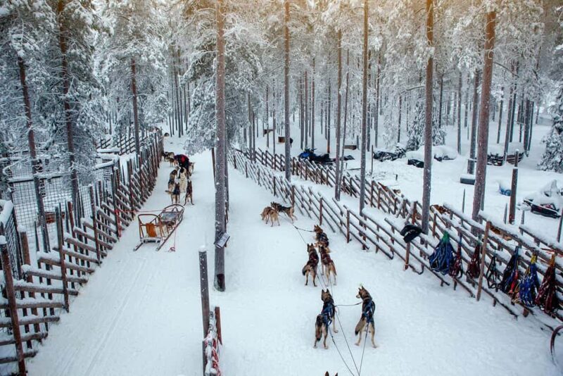 Rovaniemi: Reindeer & Husky Ride with Santa Claus Village - Key Points