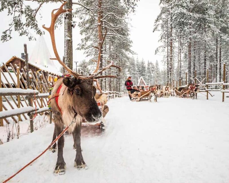 Rovaniemi: Reindeer & Husky Ride with Santa Claus Village - Final Thoughts: Is This Tour Right for You?