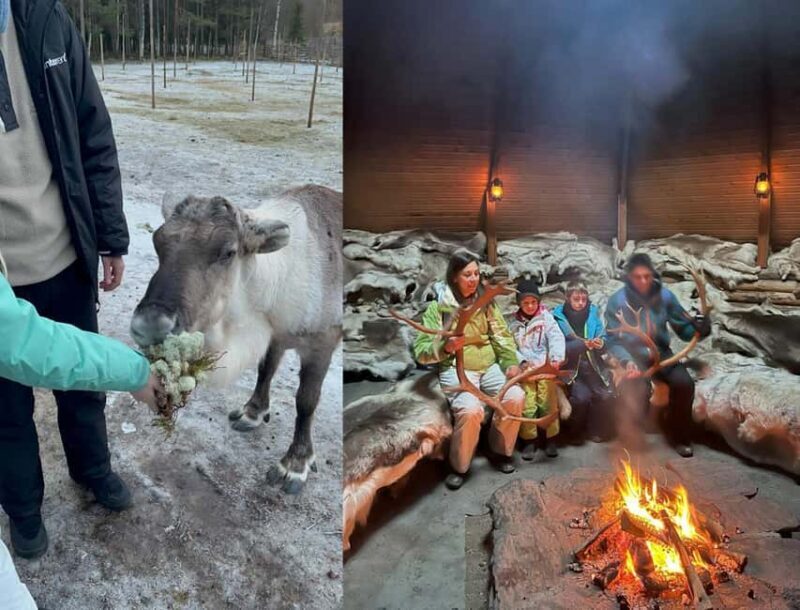 Rovaniemi: Reindeer & Husky Safari with Lunch - Who This Tour Is Best For