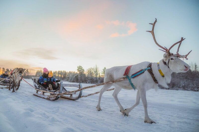 rovaniemi-reindeer-ride-to-santa-through-the-magic-forest