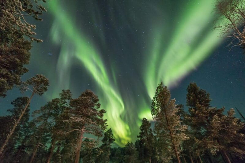 rovaniemi-reindeer-safari-and-northern-lights-tour