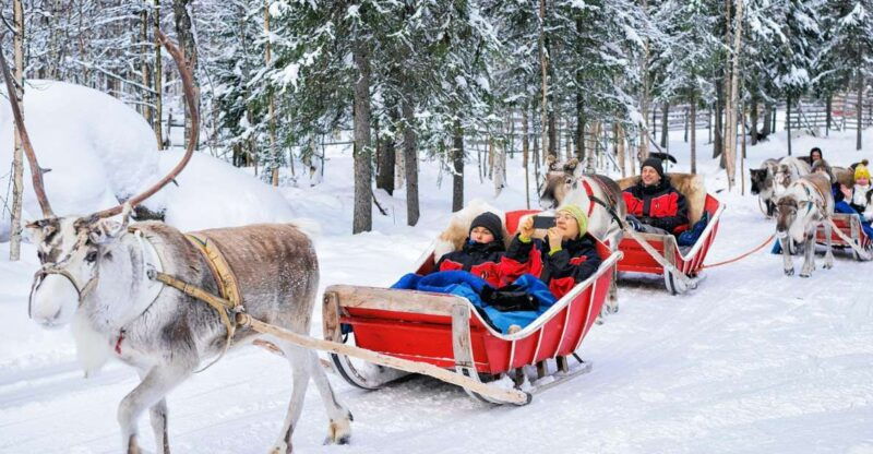 rovaniemi-reindeer-sleigh-ride-with-hot-drink-and-cookies