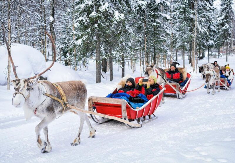 rovaniemi-reindeer-sleigh-ride-with-hot-drink-and-cookies