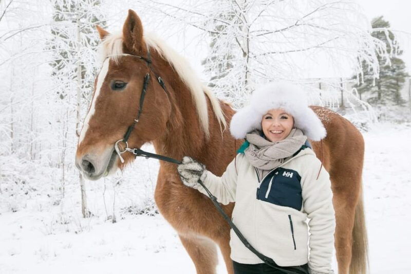 rovaniemi-riding-tour-with-finnhorses-at-scv