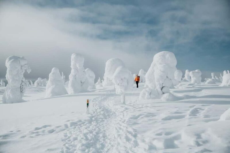 Rovaniemi: Riisitunturi and Korouoma Waterfalls Hiking Tour - An In-Depth Look at the Tour