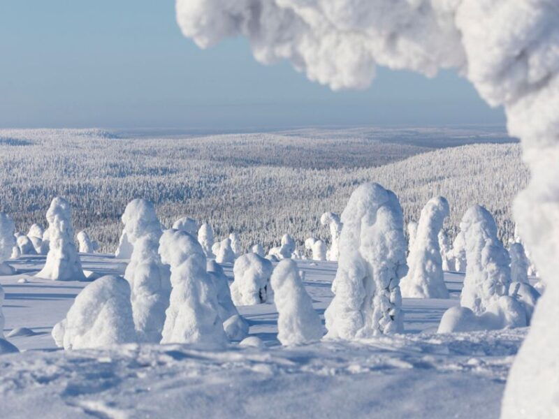 rovaniemi-riisitunturi-full-day-wilderness-adventure-bbq-2