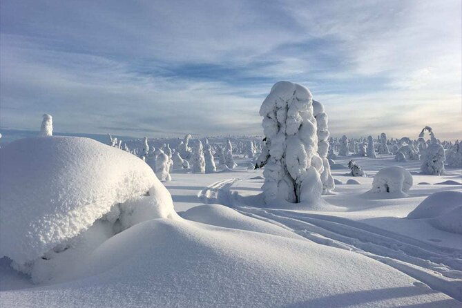 rovaniemi-riisitunturi-full-day-wilderness-adventure-bbq