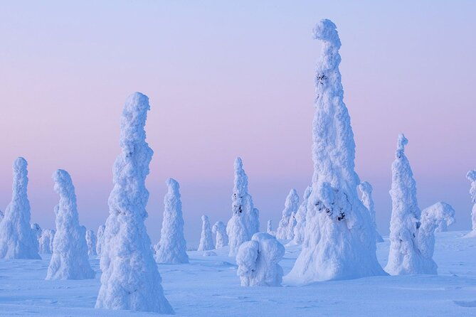 rovaniemi-riisitunturi-full-day-wilderness-adventure-bbq