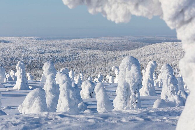 rovaniemi-riisitunturi-full-day-wilderness-adventure-bbq