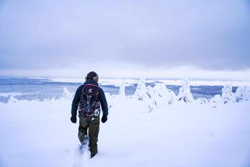 rovaniemi-riisitunturi-national-park-day-trip-with-lunch