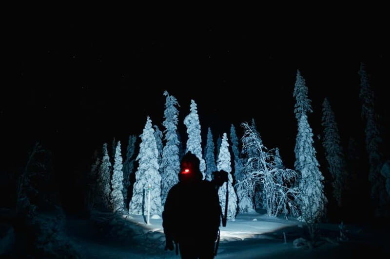 Rovaniemi: Riisitunturi National Park Night Photography Tour - Rovaniemi: Riisitunturi National Park Night Photography Tour