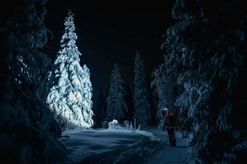 Rovaniemi: Riisitunturi National Park Night Photography Tour - Key Points  