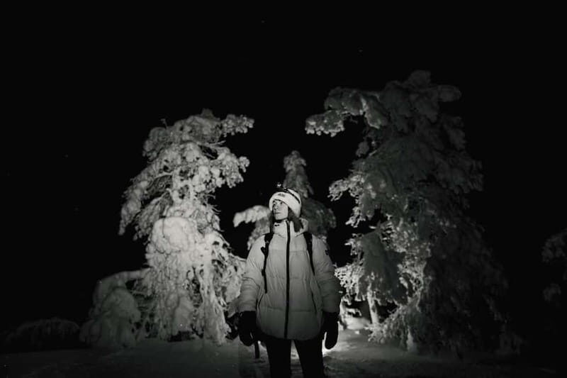 Rovaniemi: Riisitunturi National Park Night Photography Tour - Why This Tour Offers Great Value  