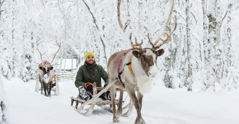 rovaniemi-saami-reindeer-farm-visit-sleigh-ride