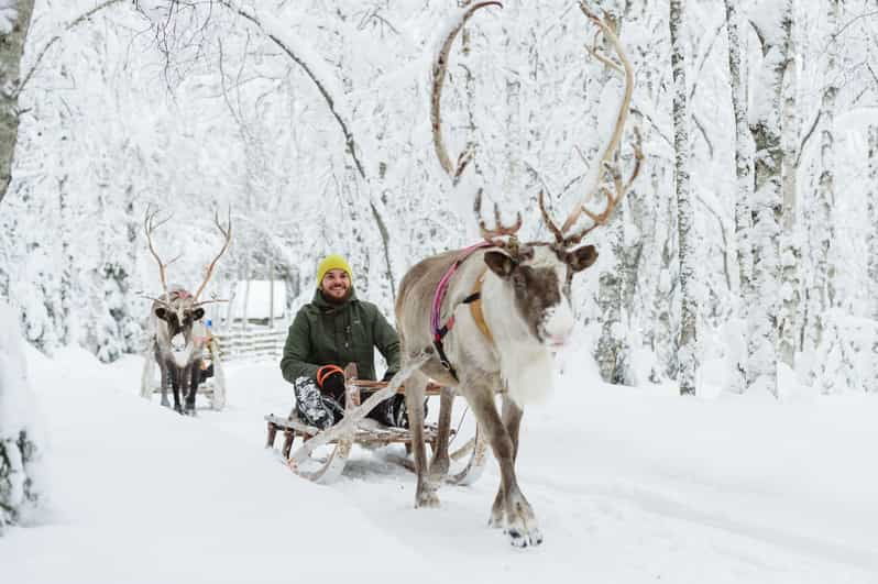 rovaniemi-saami-reindeer-farm-visit-sleigh-ride