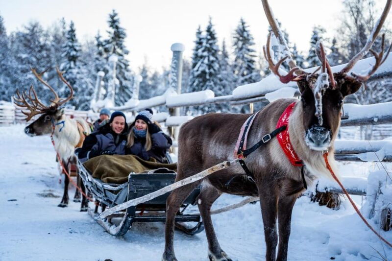 rovaniemi-santa-claus-village-husky-reindeer-sled-ride-2