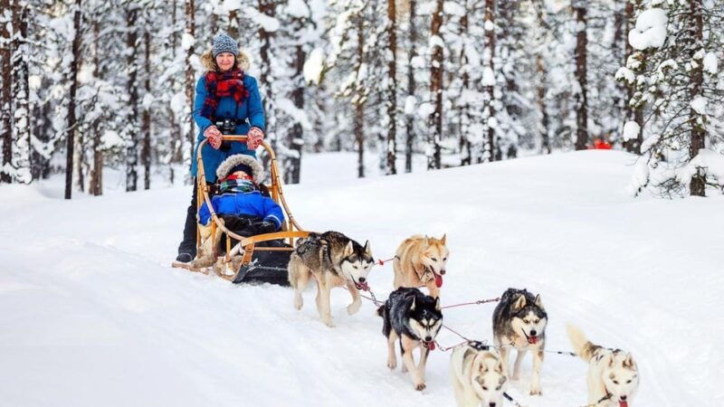 rovaniemi-santa-claus-village-husky-reindeer-sled-ride