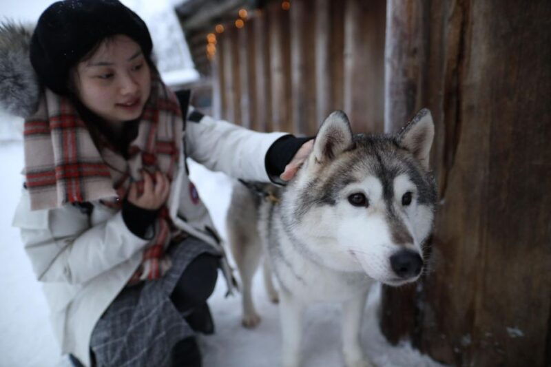 rovaniemi-santa-claus-village-tour-huskies-reindeer-visit