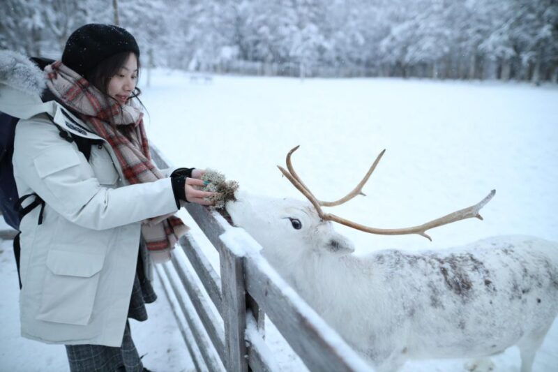 rovaniemi-santa-claus-village-tour-huskies-reindeer-visit
