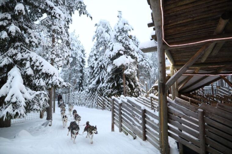rovaniemi-santa-claus-village-tour-reindeer-husky-ride