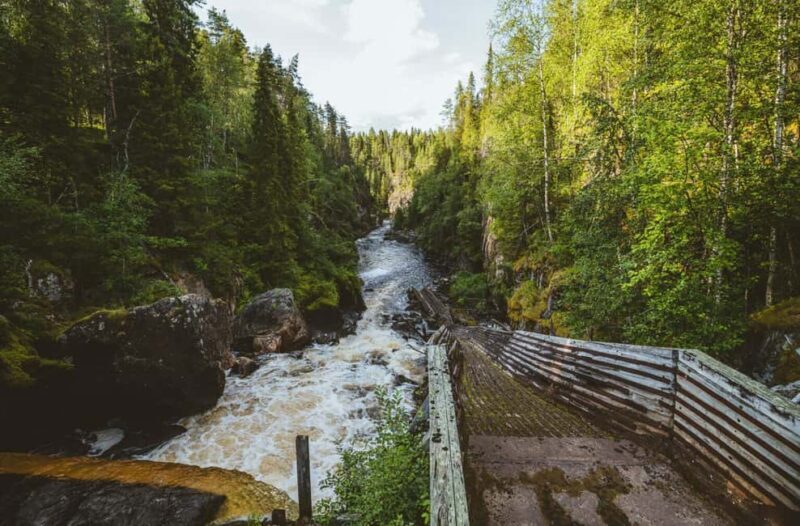 Rovaniemi: Santa Claus Village, Zoo, and Waterfalls Tour - Authentic Reviews and Insights  