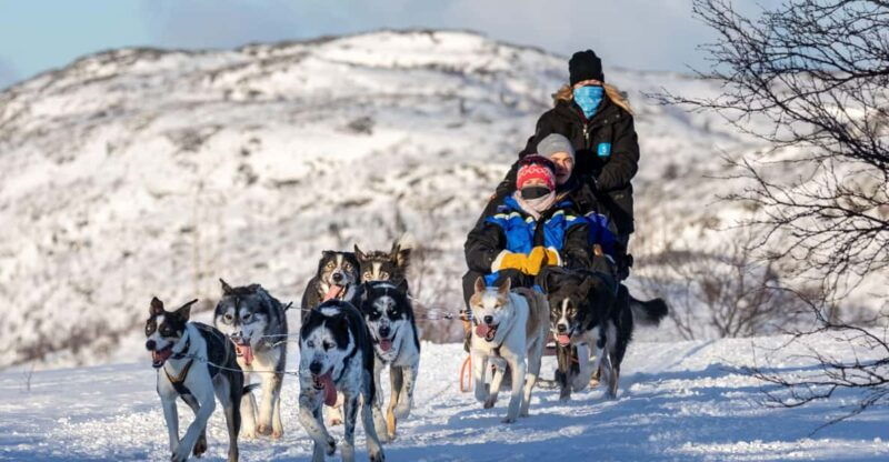 rovaniemi-santas-village-husky-reindeer-sled-ride