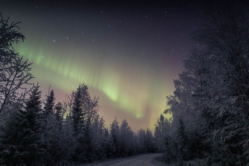 Rovaniemi: Sauna & Ice Swimming Tour with Dinner and Aurora - Frequently Asked Questions