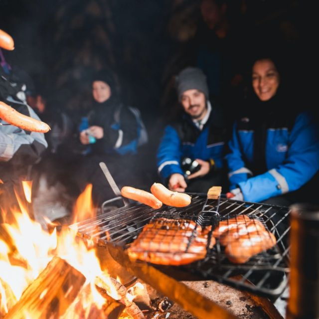 rovaniemi-search-for-northern-lights-snowmobiling-trip