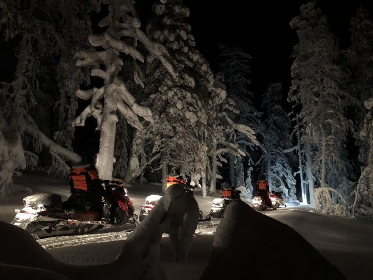 rovaniemi-search-for-northern-lights-snowmobiling-trip