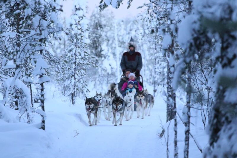 rovaniemi-self-drive-husky-sleigh-ride-adventure