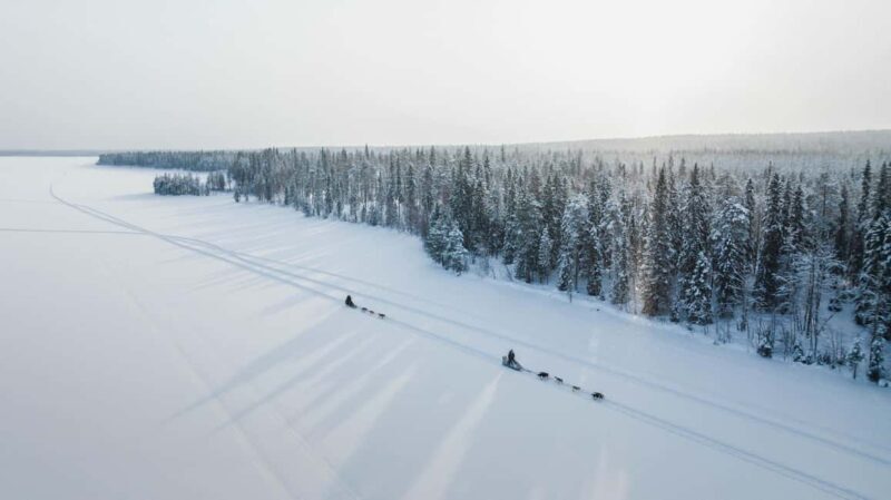Rovaniemi: Self-Driving Husky Tour 7-kilometers - The Sum Up