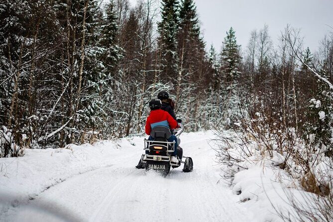Rovaniemi Snowmobile Adventure & BBQ - 1Hour Drive, Small Group - Introduction: What to Expect from This Snowmobile Tour