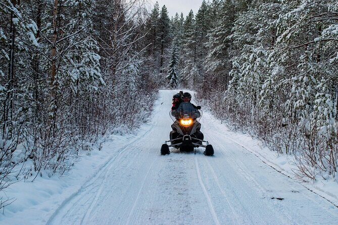 Rovaniemi Snowmobile Adventure & BBQ - 1Hour Drive, Small Group - Key Points