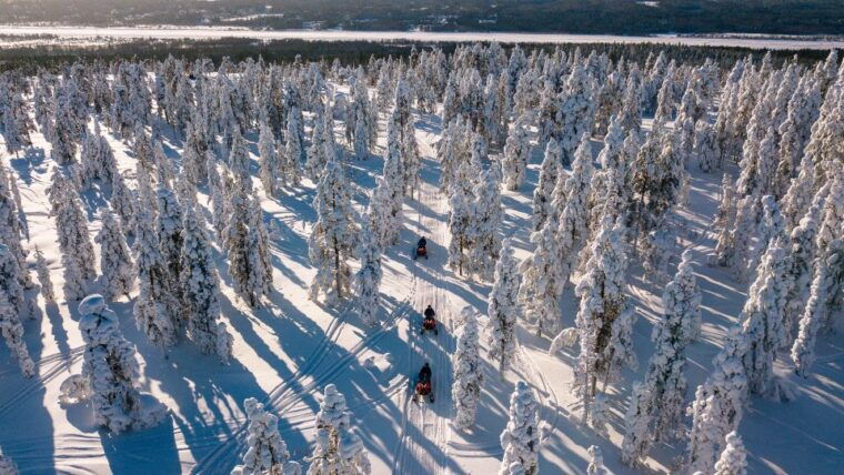 rovaniemi-snowmobile-adventure-tour-for-adults-only