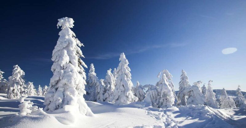rovaniemi-snowmobile-safari-adventure-2