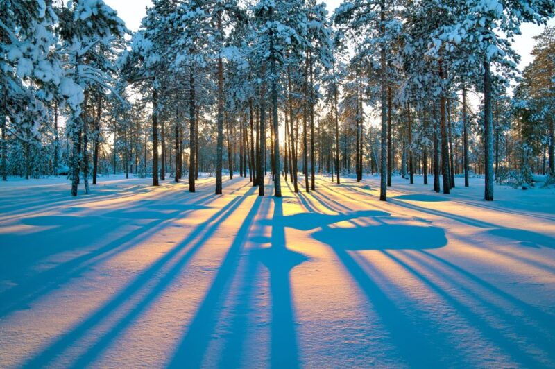 rovaniemi-snowmobile-safari-adventure-2