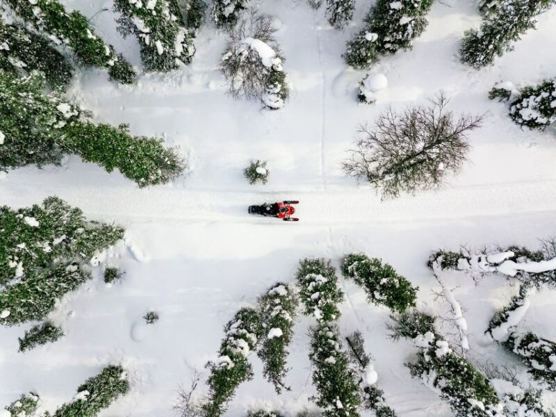 rovaniemi-snowmobile-safari-adventure