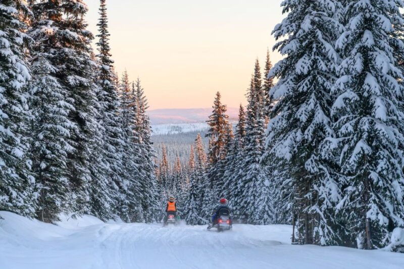 rovaniemi-snowmobile-safari-adventure