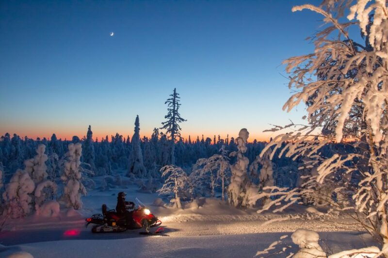 rovaniemi-snowmobile-safari-campfire-evening-escape
